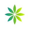 Excentric Agency Logo
