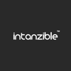 intanzible Logo