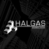 DESARROLLADORA HALGAS S.A. DE C.V. Logo