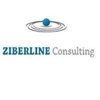 Ziberline Consulting Logo