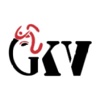 GKV Software Solutions PVT LTD Logo