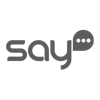 SAY Agency Logo