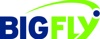 BigFly Logo