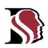 DSS Global Logo