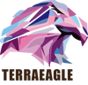 Terraeagle Technologies Logo