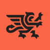Dragon Scale Logo