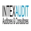 INTEXAUDIT Logo