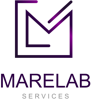 MareLab Services Logo