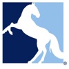 4 Horsemen Solutions® Logo