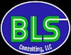 BLS Consulting, LLC Logo