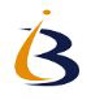 Admin IB Solutions Logo