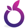 SixBerries Ltd Logo