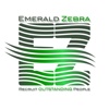 Emerald Zebra Cyprus Recruiter Tech, FinTech, Finance Logo