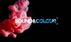 Sound & Colour Films Logo