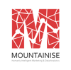 Mountainise Inc Logo