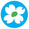 Dogwood Media Logo