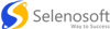 Selenosoft Logo