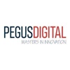 Pegus Digital Logo