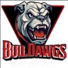 Bull Dawg Junk Removal Logo