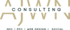 AJWN Consulting Logo