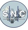 Social Networking Consultants Logo