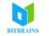 Bitbrains Technology Private Limited Logo