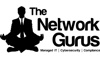 The Network Gurus Logo