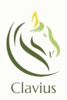 Clavius Solutions Logo