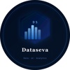 Dataseva Logo