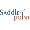 Saddle Point Technologies Logo
