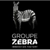 Groupe Zebra Logo