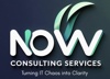 Now Consulting Services Inc Logo