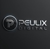 Peluix Digital Logo