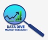 Data Dive Market Research Logo