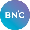 Brands n Codes Logo