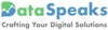 DataSpeaks Services Pvt Ltd Logo