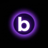 BurnesSEO Logo