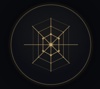Spiderwebbed Logo