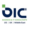 Business & IT Consultants LLC Logo