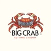 Big Crab Studio Logo