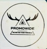 Promowide Online Services Limited Logo