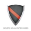 Vickers & Nolan Enterprises, LLC Logo