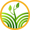 RV Tree Care Logo