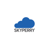 SKYPERRY Logo