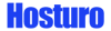 Hosturo Logo