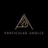 Particular Angles Logo