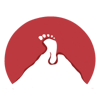 Roadstour Logo