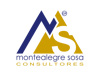 MS Consultores Logo