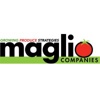 Maglio Companies Logo