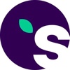 Studiovine Logo
